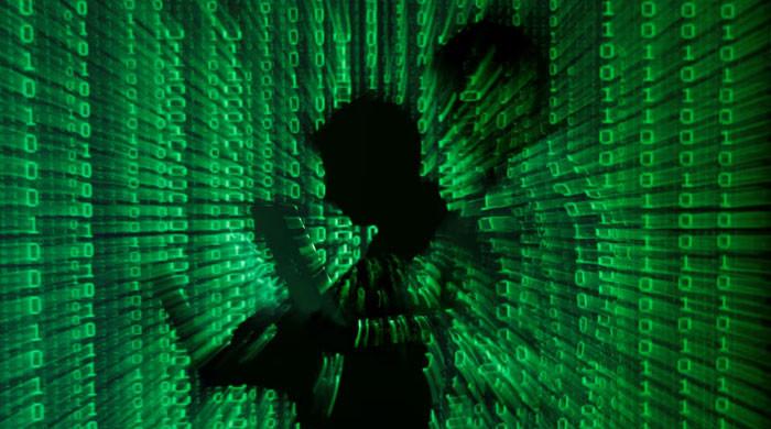 ‘Pakistan-based’ cybercrime ring targeted in US-Dutch crackdown